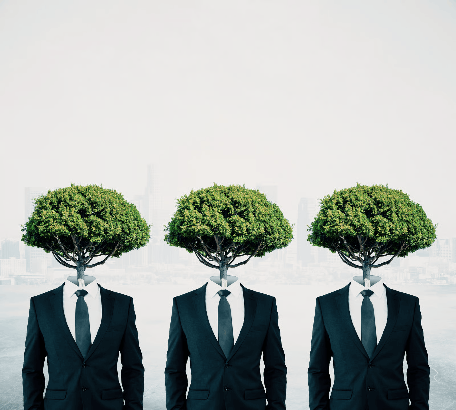 The CEO Mindset: Why the Best Leaders Prioritize Their Environment